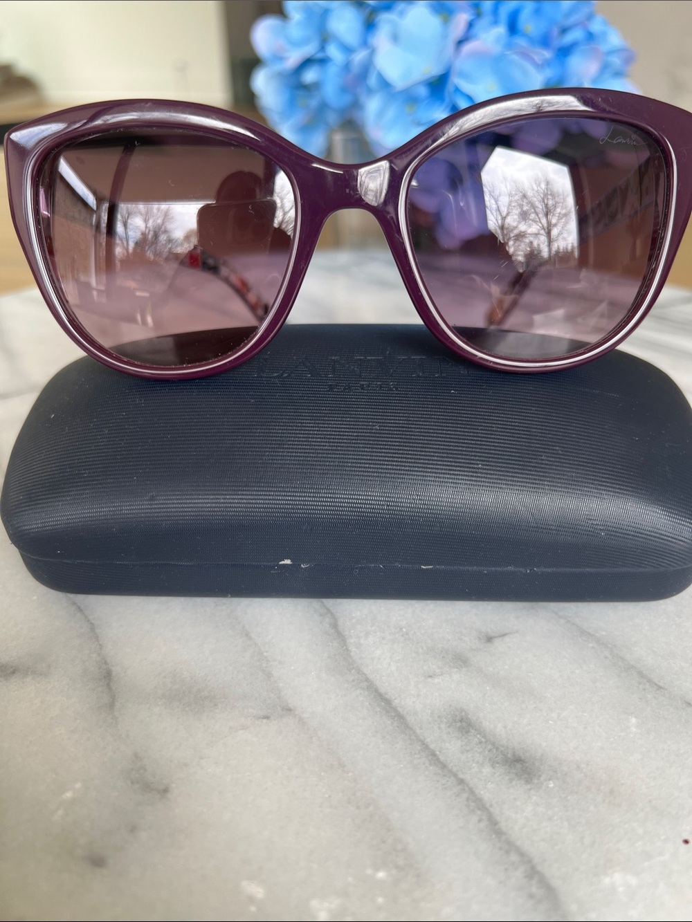 Lanvin Women's Oversized Sunglasses - Plum Frame with Gradient Lenses